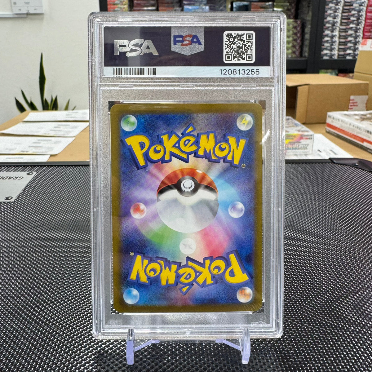 Pokémon Grading PSA10 Card Single Collection – PokePokeJapan